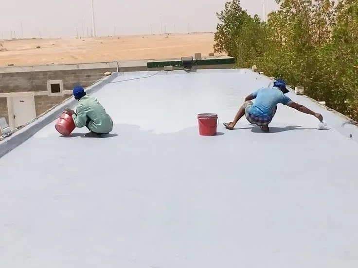 الاصباغ الداخلية